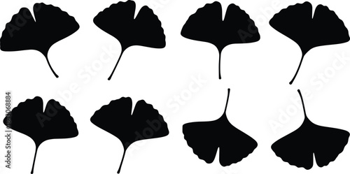 Set of Eight Black and White Ginkgo Biloba Leaf Silhouettes, Traditional Chinese Botanical and Herbal Medicine Vector Illustration, Isolated on White Background.