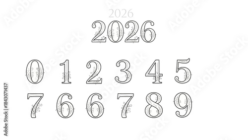Elegant numbers 2026 displayed digitally on a white background