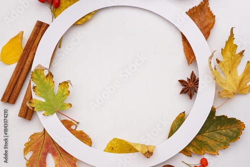 Frame made of paper circle ...