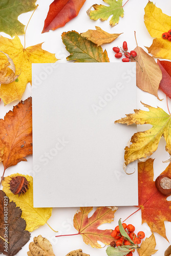 Beautiful autumn compositio...
