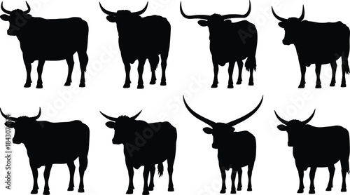 Collection of Black Silhouettes of Various Cattle Breeds Standing bull animal