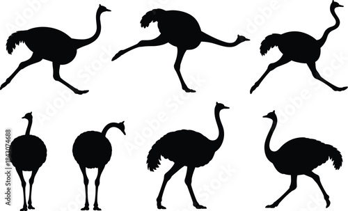 Collection of seven black silhouette ostriches in various running and standing poses bird animal