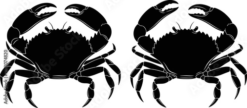 Black Silhouette of Two Crabs Showing Large Pincers and Detailed Shell Texture Isolated on White Background for Seafood Market, Restaurant Menu Vector Illustration