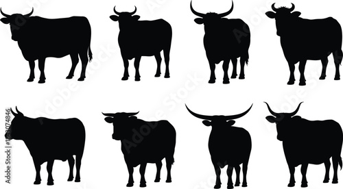 Set of Black Silhouettes of Cows and Bulls with Different Horns cattle livestock