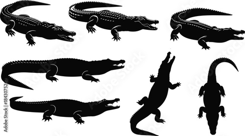 Alligator and crocodile silhouette vector set with detailed scales, claws, poses, black reptile icon collection for design use