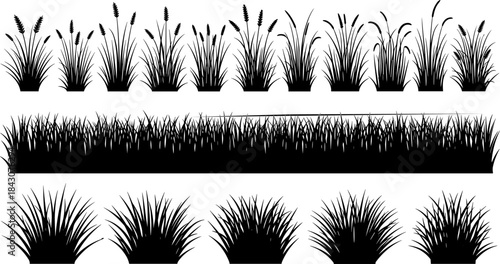 Collection of Black Silhouette Grass Borders, Wild Plants, and Various Grass Tufts for Garden, Lawn, Nature, and Outdoor Decorative Design Vector Illustration