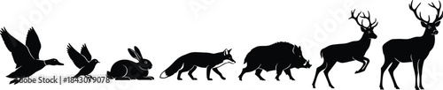 Animal silhouette, forest wildlife, flying bird, rabbit, fox, boar, deer, black vector, nature illustration, woodland creatures, ecosystem diversity