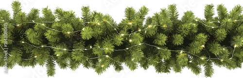 Green fir branches with white string lights on white background pine needles evergreen