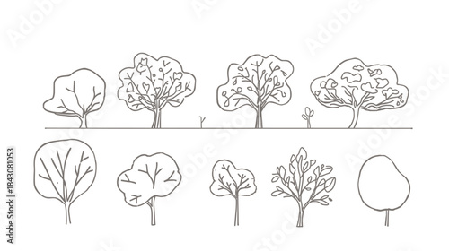 A collection of simple line art illustrations of various trees and saplings in different stages of growth
