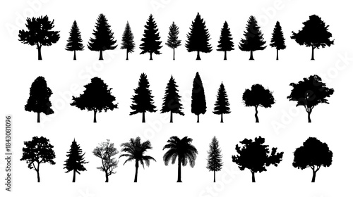 Diverse collection of silhouette trees, including deciduous, evergreen, and palm varieties