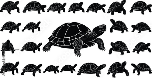 Turtle silhouette collection, black turtle icons, reptile vector set, animal shapes, wildlife design, sea turtle clipart, editable illustrations