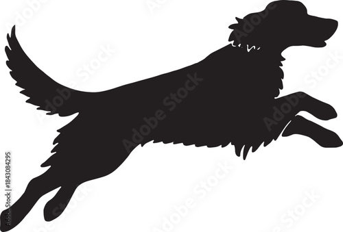 A silhouette of a golden retriever in mid leap displaying athletic grace