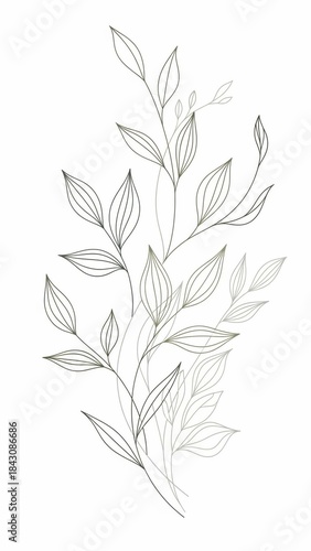 Botanical Branch Elegance: A delicate display of botanical leaves and stems showcases intricate lines and organic form, creating a visual symphony of natural beauty.