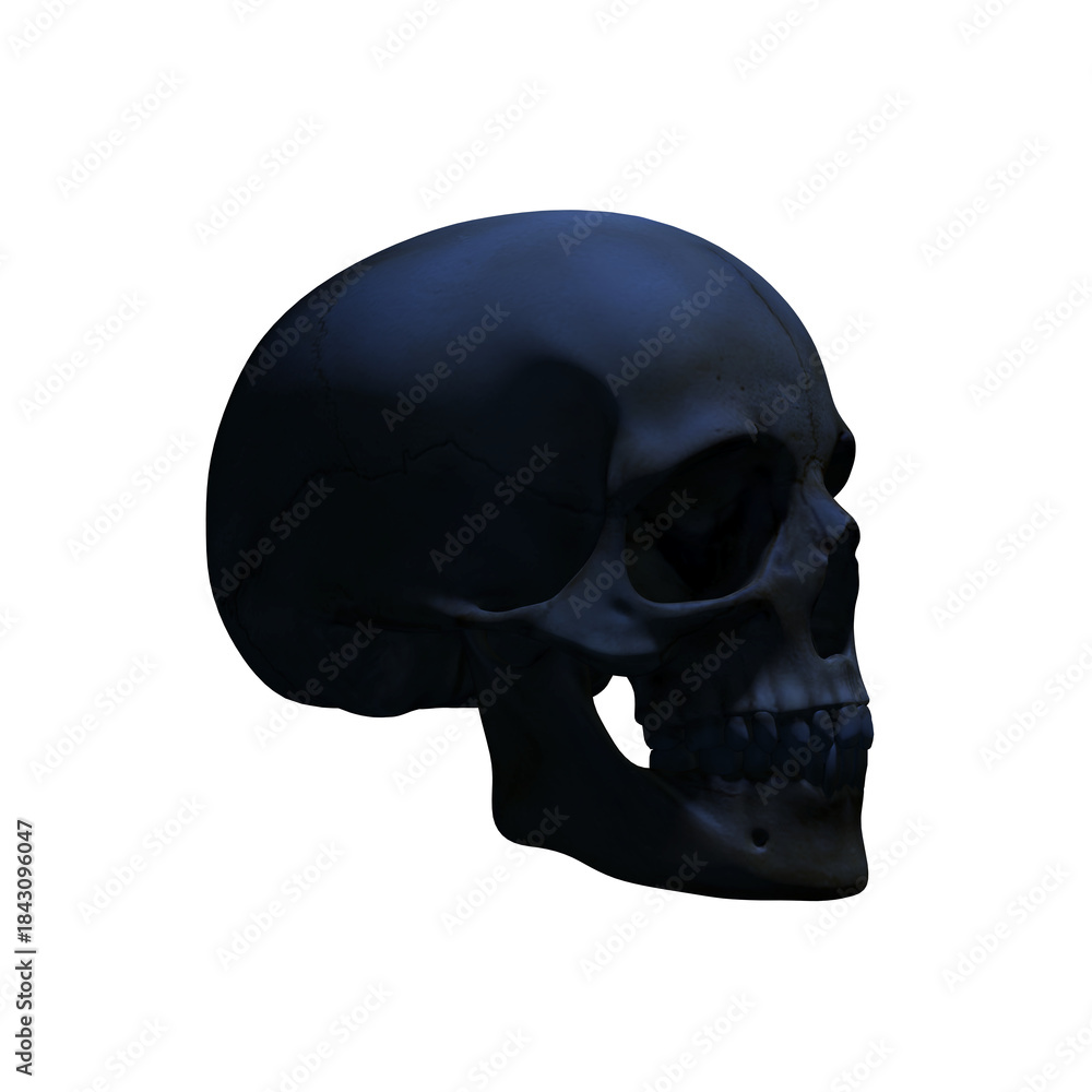 Obraz premium skull