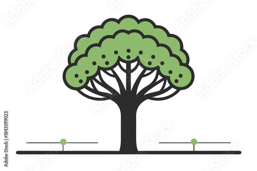 tree with wide top and ground roots