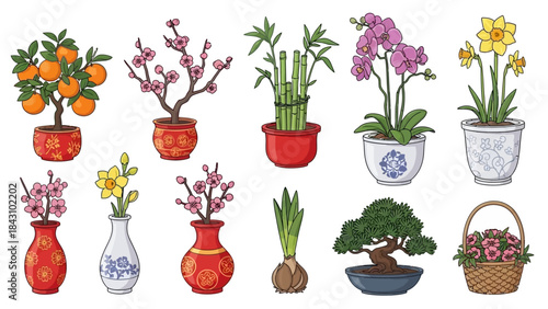 Assortment of decorative potted plants, blossoms, and trees for prosperity