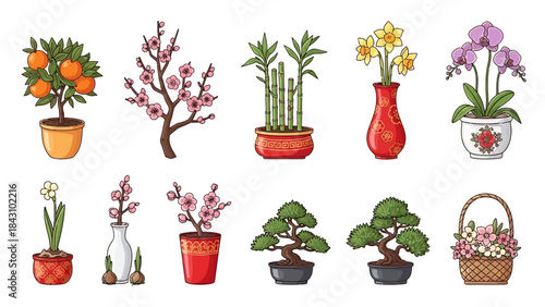 Decorative potted plants and flowers for home and garden decor