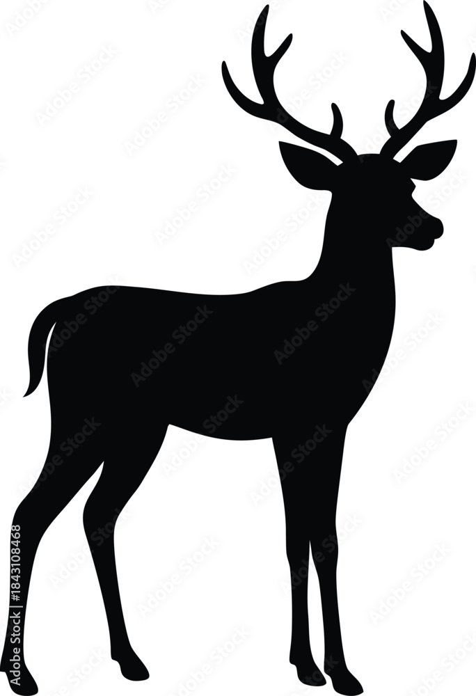 Obraz premium Deer Silhouette with Antlers