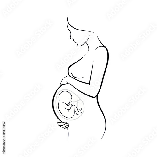 Pregnant woman with visible fetus in womb line art illustration.
