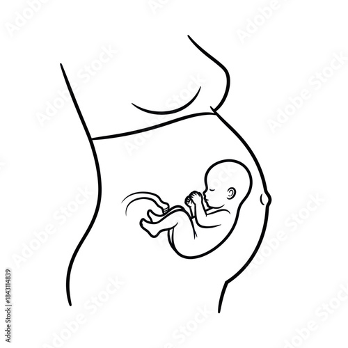 Pregnant Woman with Fetus in Womb Line Art.