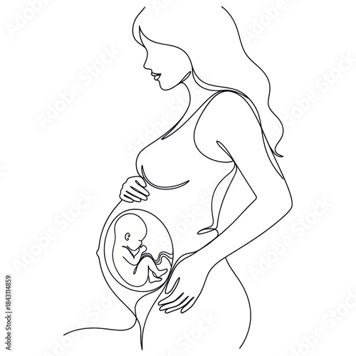 Pregnant woman with visible fetus in womb one line drawing.