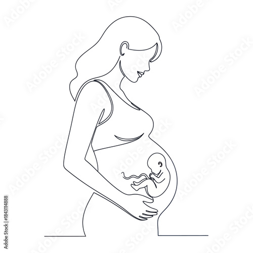 Pregnant woman with visible fetus in continuous line art style.