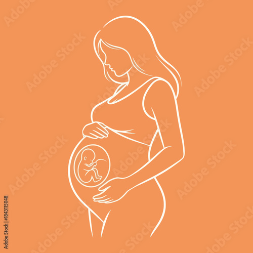 Pregnant Woman Holding Belly Showing Baby Silhouette Inside.