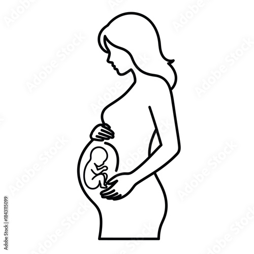 Pregnant Woman with Fetus in Womb Line Art Illustration.