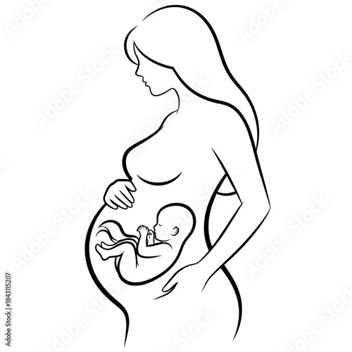 Pregnant woman with baby inside womb line art illustration.