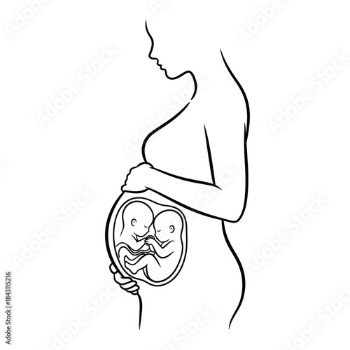 Pregnant Woman With Twins Inside Her Belly Illustration.