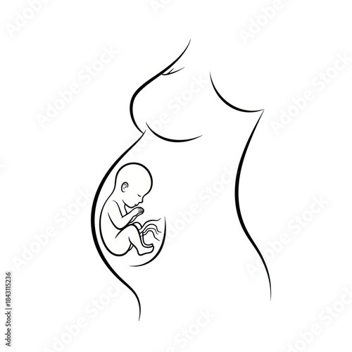 Pregnant woman with fetus in womb line art drawing.
