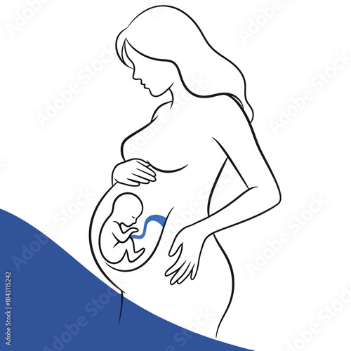 Pregnant Woman with Fetus in Womb Line Art Illustration.