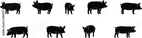 Pig silhouette icon set showing different poses of pigs in black vector illustration, perfect for farm animal, agriculture, and design use.