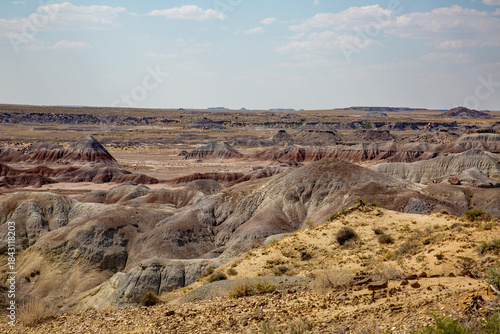 desert terrain