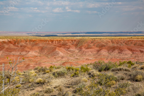 red rock canyons