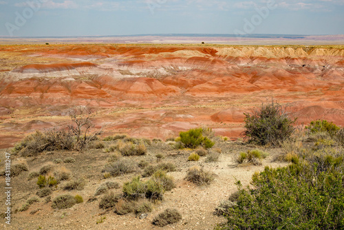 red rock view