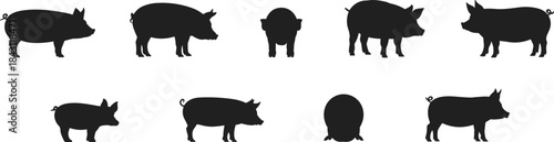 Set of pig silhouettes in various poses and angles, farm animal vector collection for agriculture, butcher, food, and design themes.