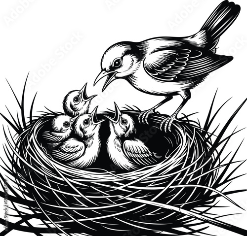 Bird feeding babies in nest vector graphic wildlife animal nature spring drawing