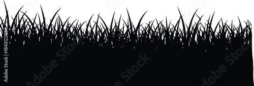 Black grass silhouette border, natural meadow foliage vector illustration, wild lawn background, rural nature design element, isolated on white for decoration