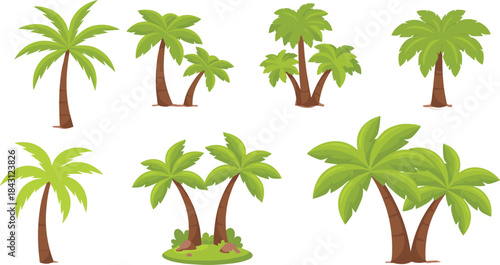 Tropical palm tree collection vector illustration, summer island nature plants set, exotic beach greenery elements isolated on white background