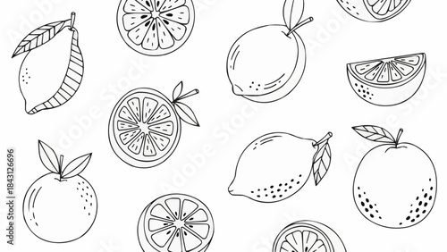 Hand Drawn Sketch of Various Citrus Fruits and Slices.