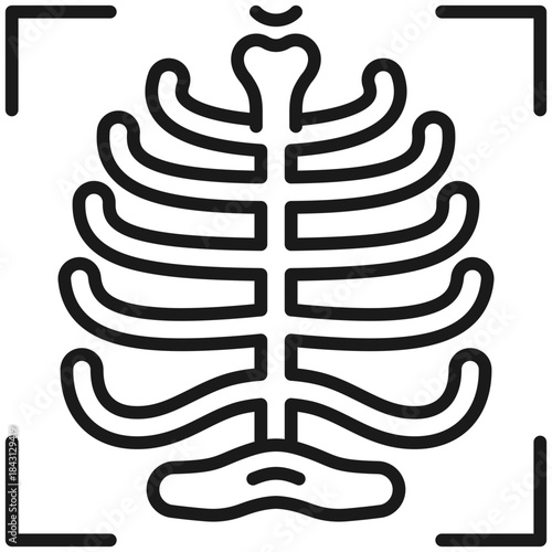 Radiology Icon