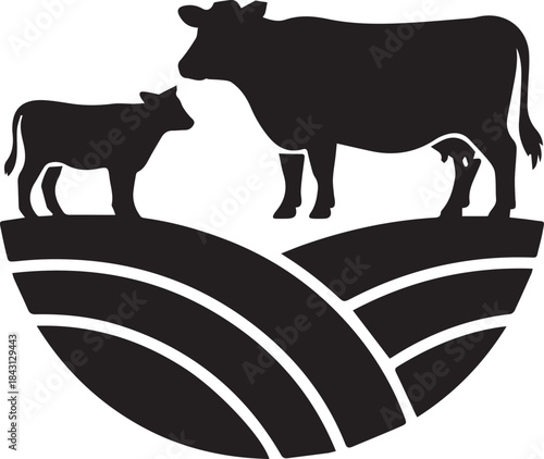 Silhouette of a Cow and Calf Grazing on Rolling Hills in a Pastoral Farm Scene