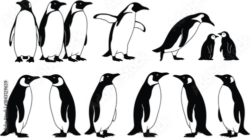 Penguin silhouette vector set, animal poses, black and white illustration, nature design, wildlife group, bird icons, Antarctic themed graphic