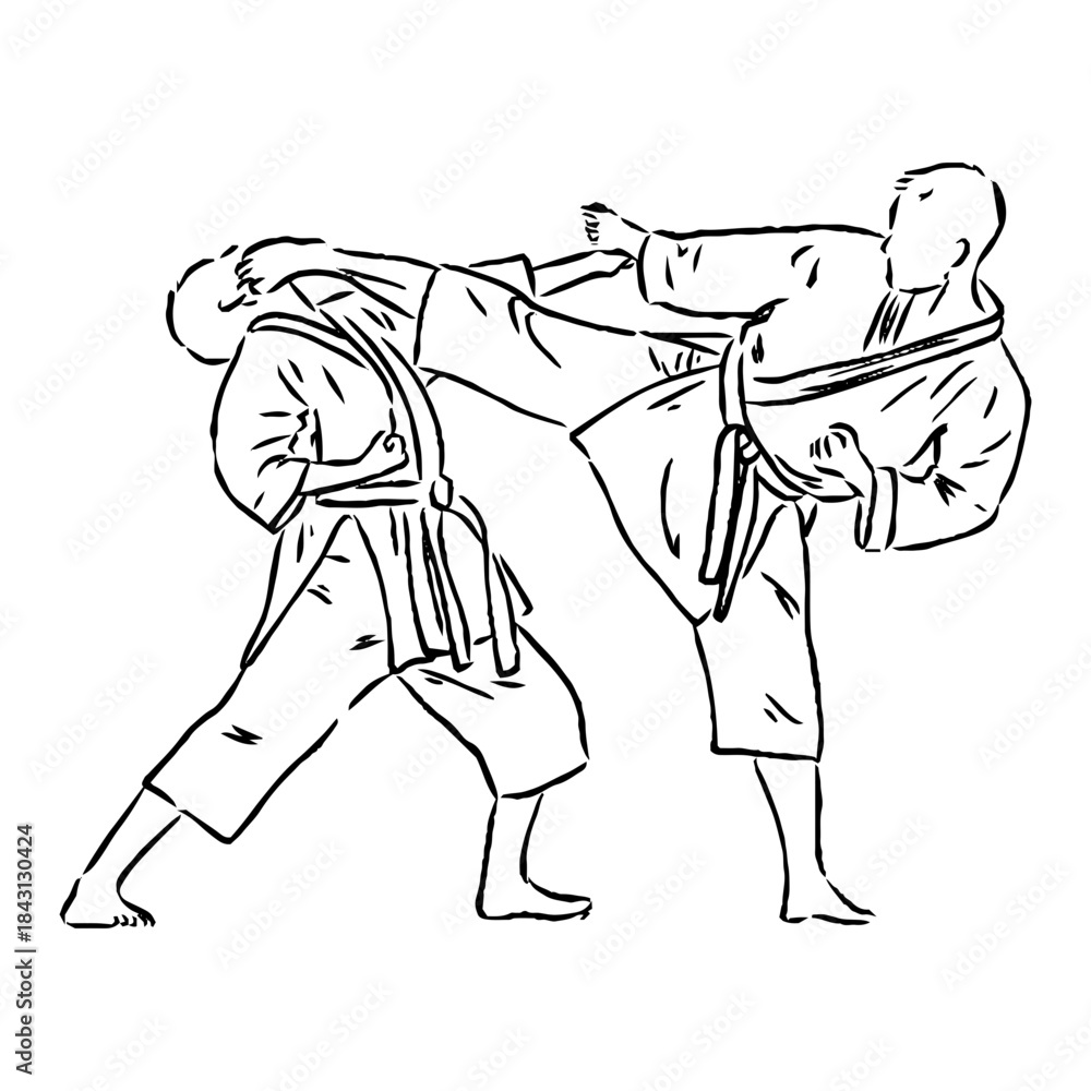 Fototapeta premium karate vector sketch, karate moves, karate