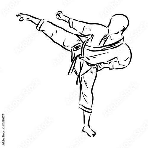 karate, karate vector sketch, karate moves