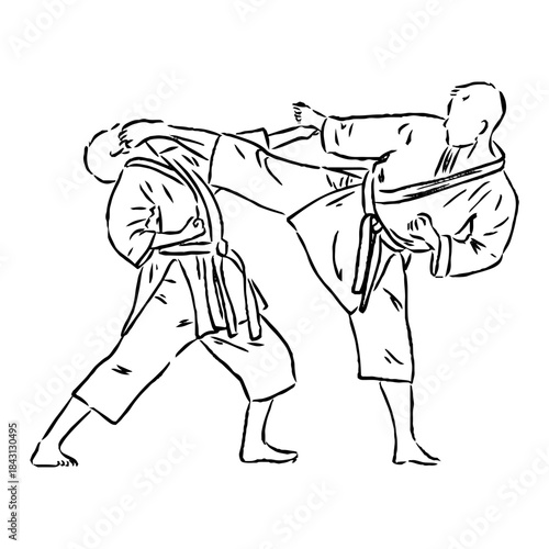 karate, karate vector sketch, movements in karate
