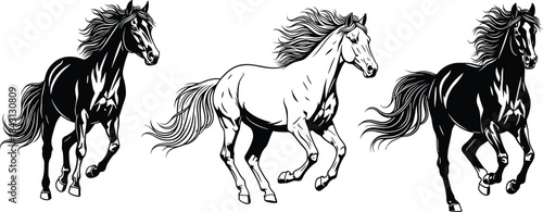 Running horses silhouette vector illustration, black and white galloping trio, flowing mane and tail, CAD drawing flat vector illustration, nature power motion