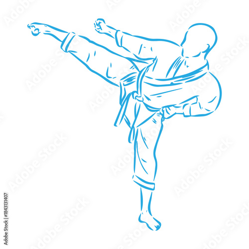 karate, karate vector sketch, movements in karate