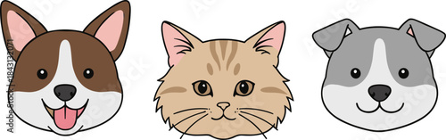 Adorable vector set of three pet head portraits: a smiling corgi-style dog, a curious tabby cat, and a gray-and-white terrier-style dog for animal and companion themes.Adorable vector set of three pet